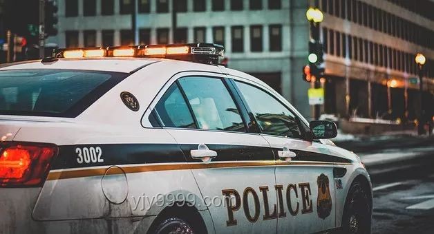 “兔子警官邀你猜车型”背后汽车市场新趋势预测